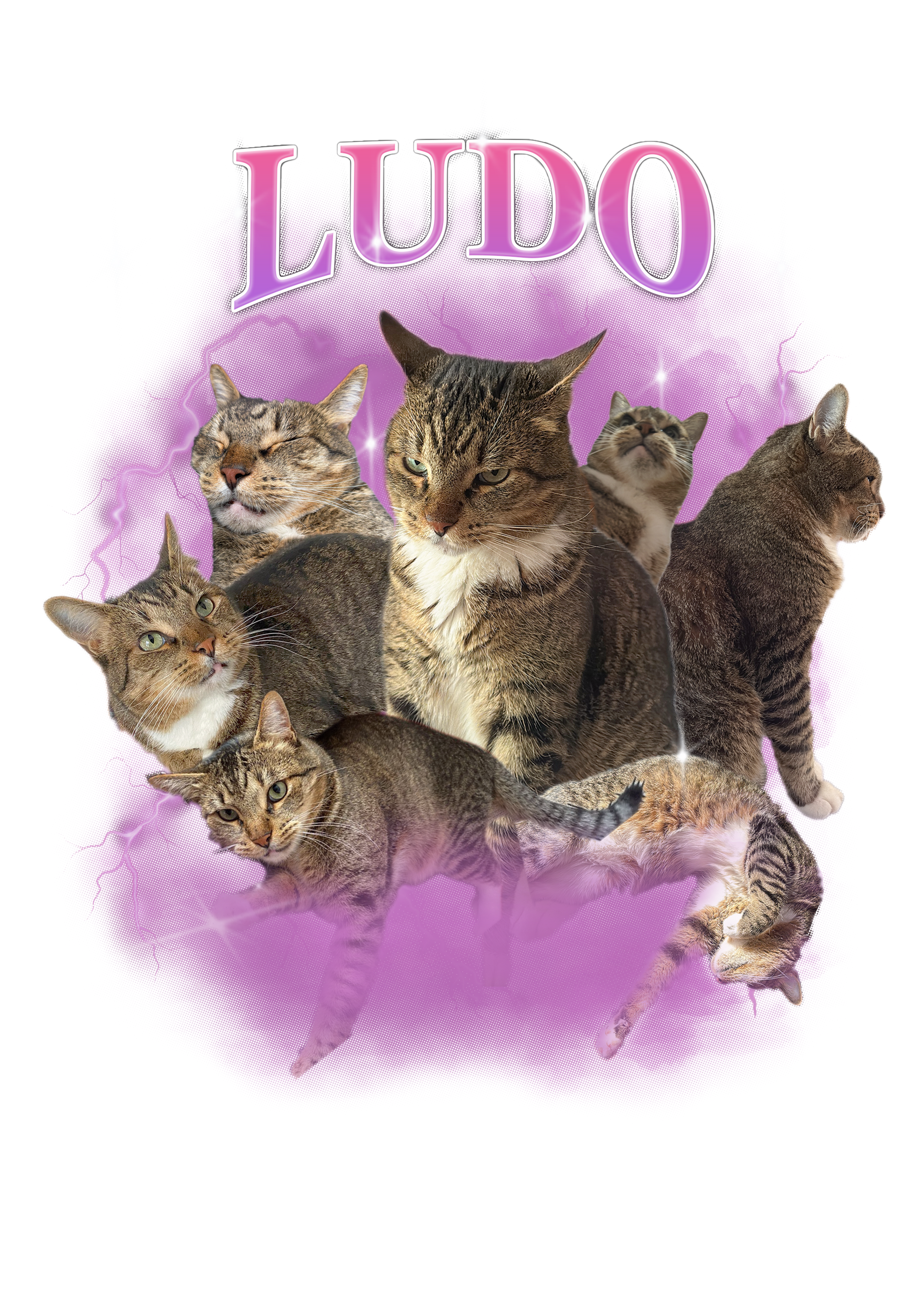 Playera Dosmilera Personalizada