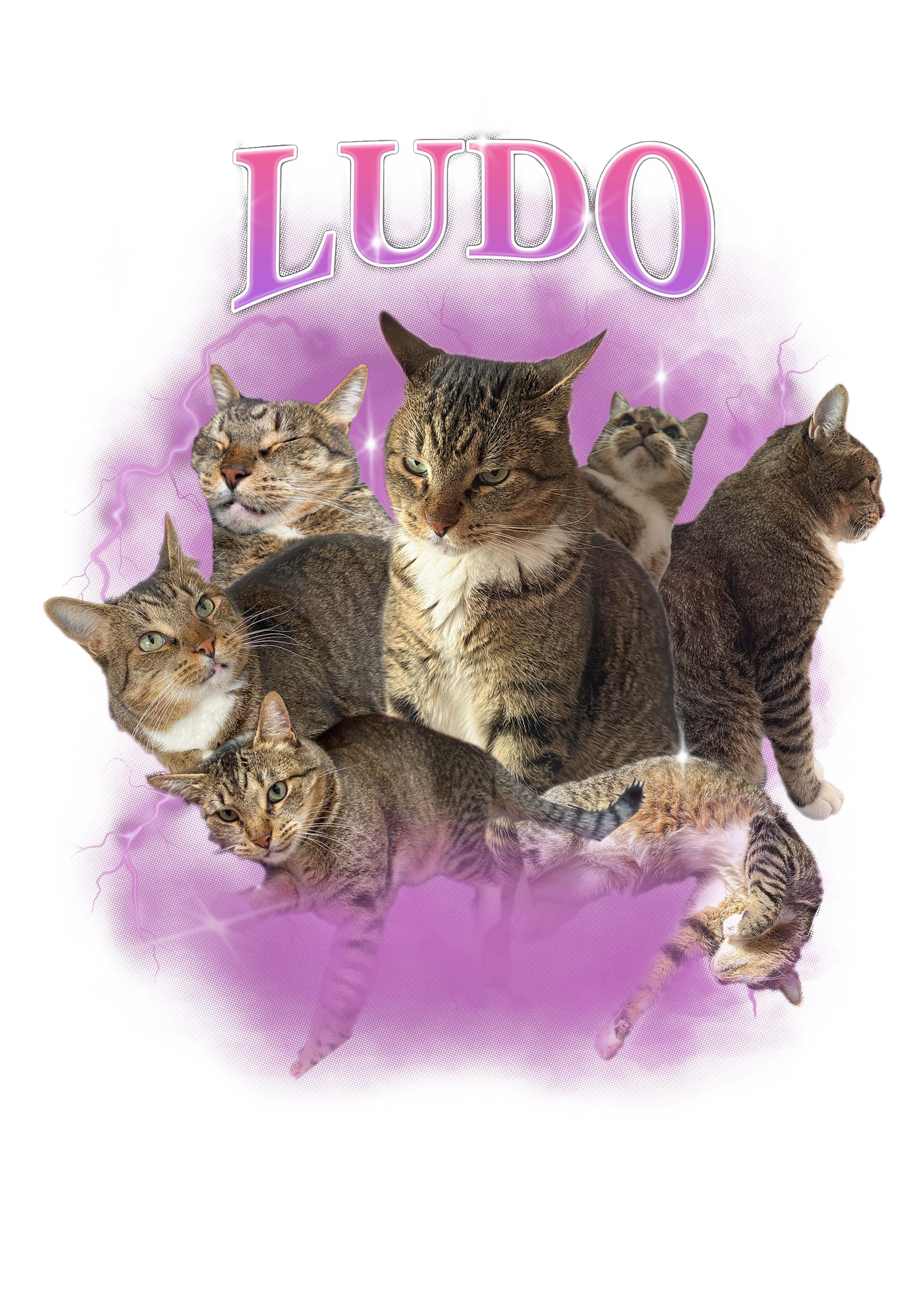 Playera Dosmilera Personalizada