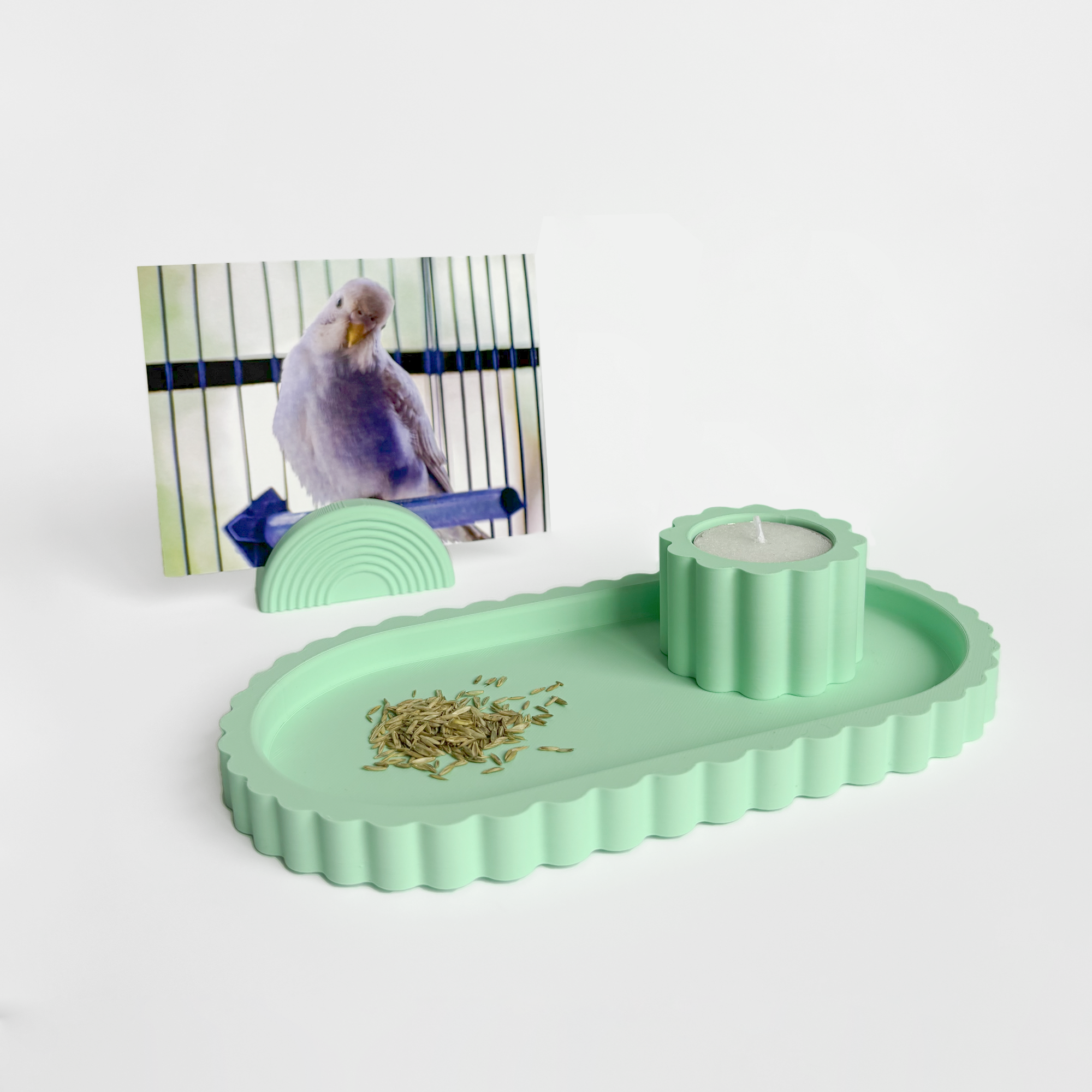 Set Memorial Cruzando el Arcoíris